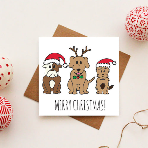 Dog Trio Christmas Card